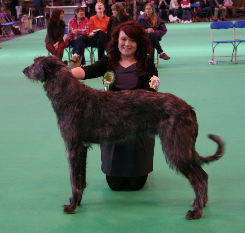 Best Puppy Crufts 2012